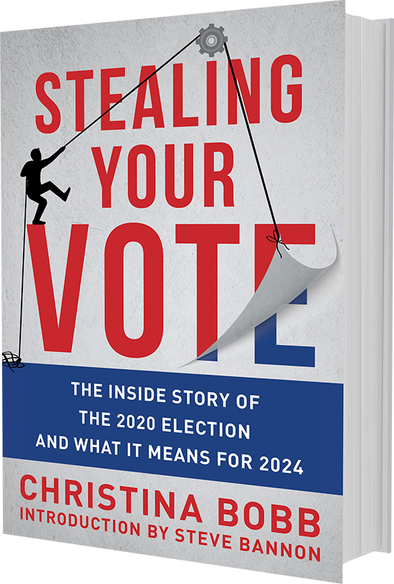 Stealing Your Vote Book
